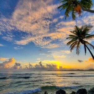 Live Show 2/18/26 Unlisted